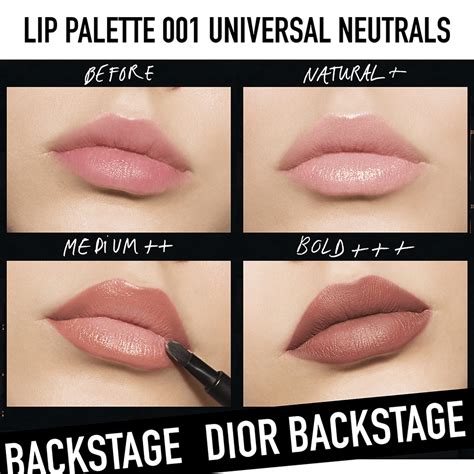 Lip Palette • 001 Universal Neutrals 